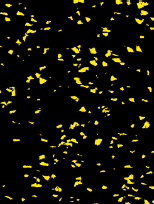 Sportec style - color 15