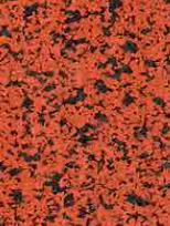 Sportec purcolor