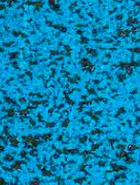Sportec purcolor